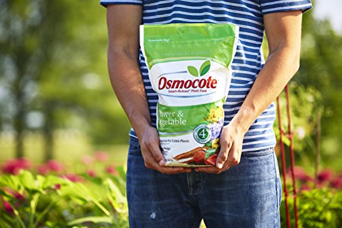 Osmocote Smart-Release Plant Food Plus Outdoor & Indoor, 8 lb.