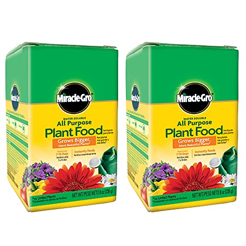 Miracle-Gro Water Soluble All Purpose Plant Food, Fertilizer for Indoor or Outdoor Flowers, Vegetables or Trees, 10 lbs.