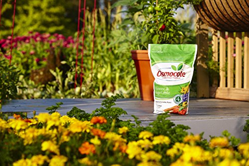 Osmocote Smart-Release Plant Food Plus Outdoor & Indoor, 8 lb.