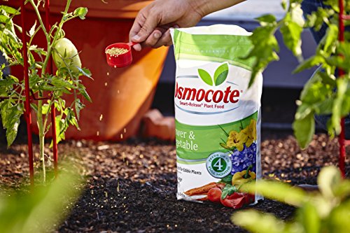 Osmocote Smart-Release Plant Food Plus Outdoor & Indoor, 8 lb.