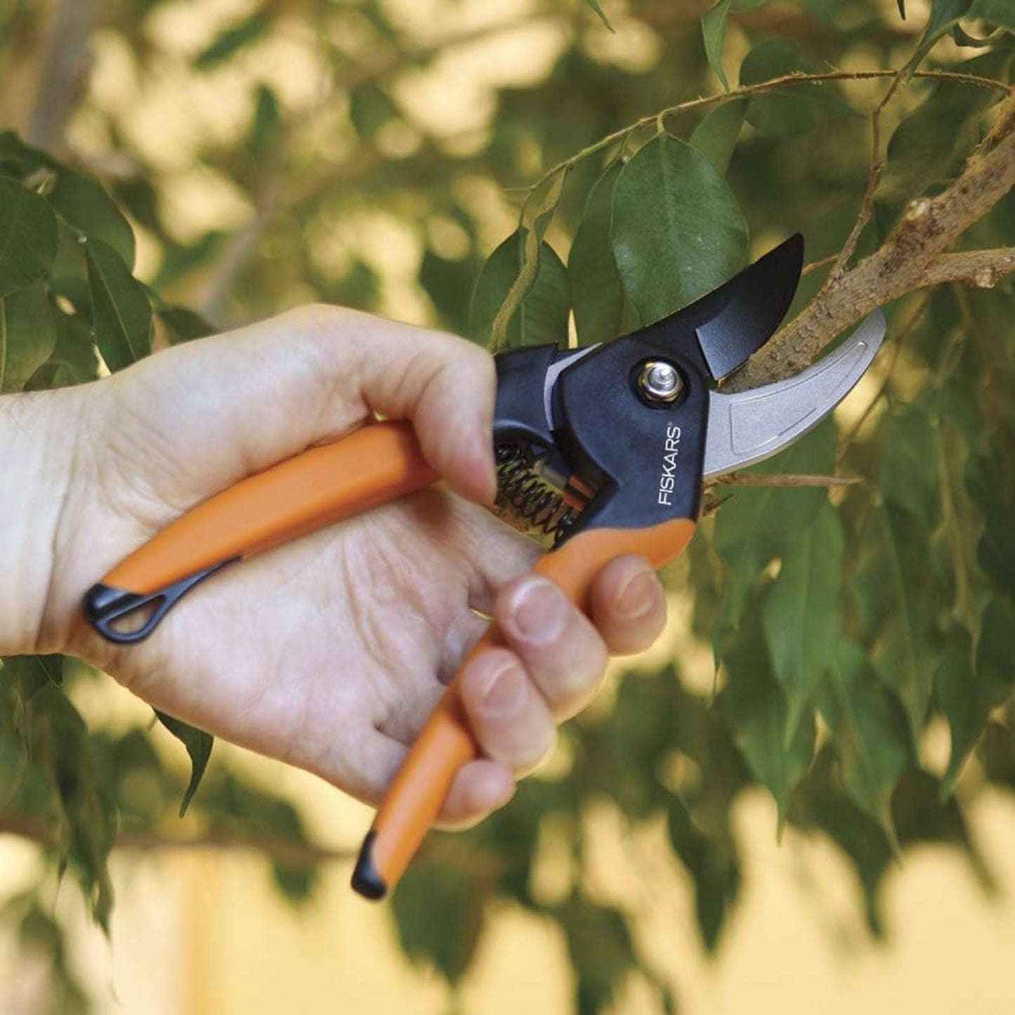 Fiskars Bypass Pruning Shears, 5/8-Inch Cut Capacity Garden Clippers, Gardening Scissors with Sharp, Rust Resistant Steel Blade