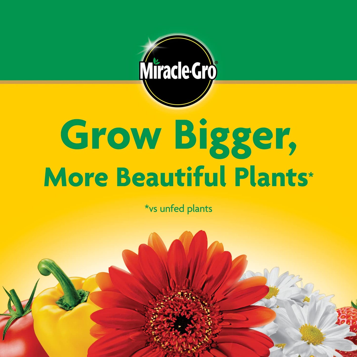 Miracle-Gro Water Soluble All Purpose Plant Food, Fertilizer for Indoor or Outdoor Flowers, Vegetables or Trees, 10 lbs.