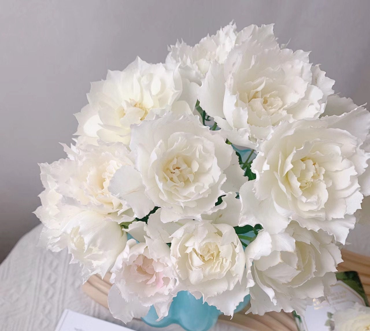 Rose “Le Blanc” ル ブラン 乐柏 Japanese Rose Live Plant, 3 Gallon