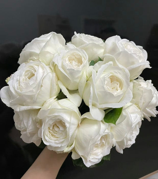 Rose “Yves Wedding Road”婚礼之路 Japanese , 1 Gallon